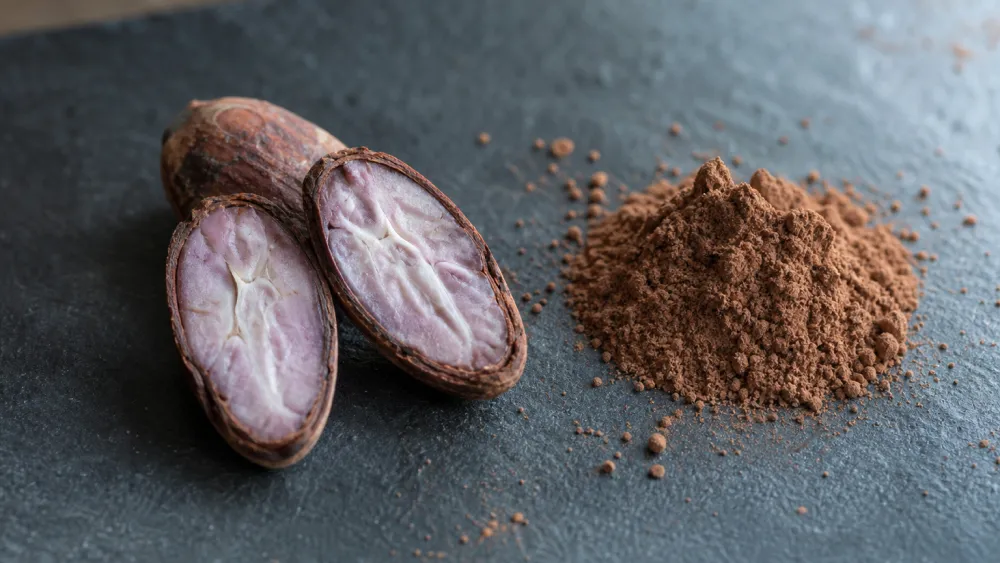 Cacao bean cross-section showing pale cotyledons beside brown cocoa powder
