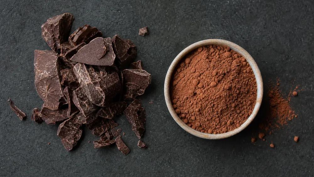 Chunks of ceremonial cacao paste beside a bowl of pressed cacao powder showing texture contrast